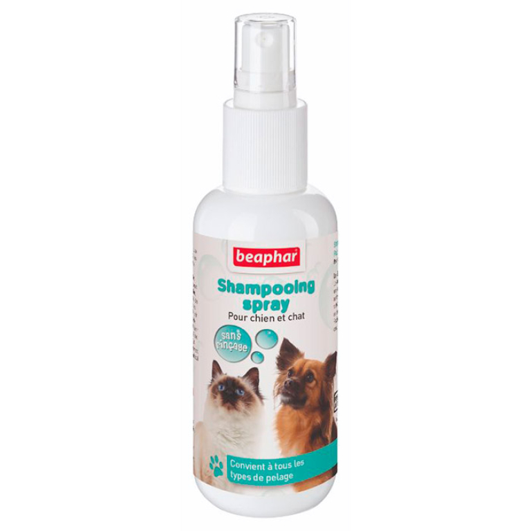 SHAMPOO SPRAY EN SECO - 150ML