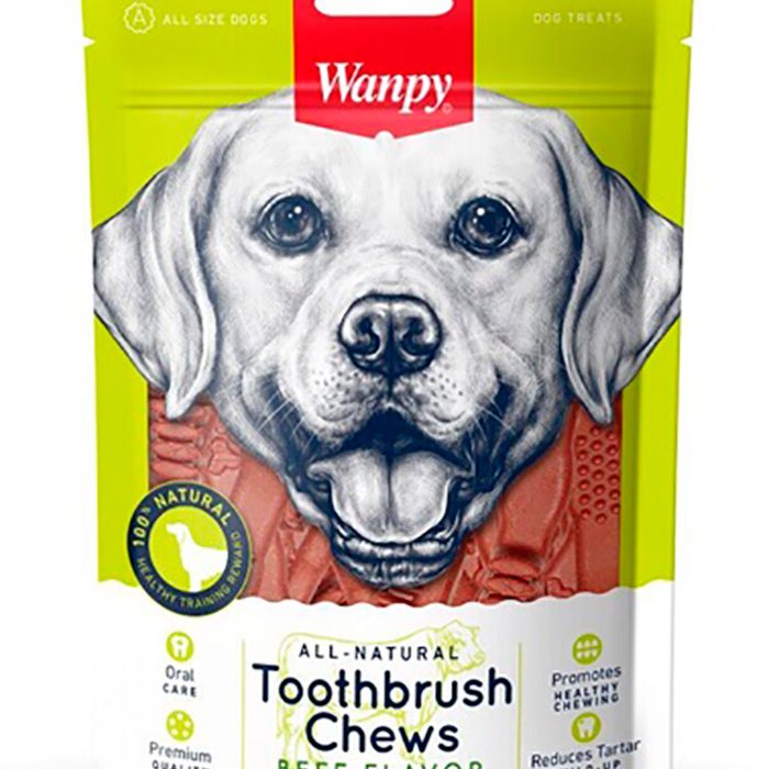 Wanpy Toothbrush - 100 Gr